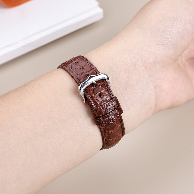 16mm 17 18 19 21 22mm Genuine  - огляд і ціна Cartier Watch Santos
